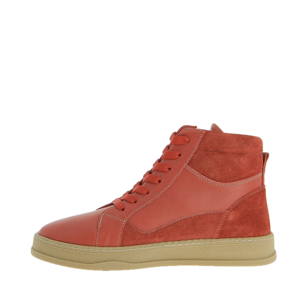 Saissac Blood – Image 4