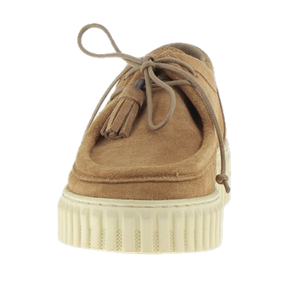Amathay Camel – Image 3