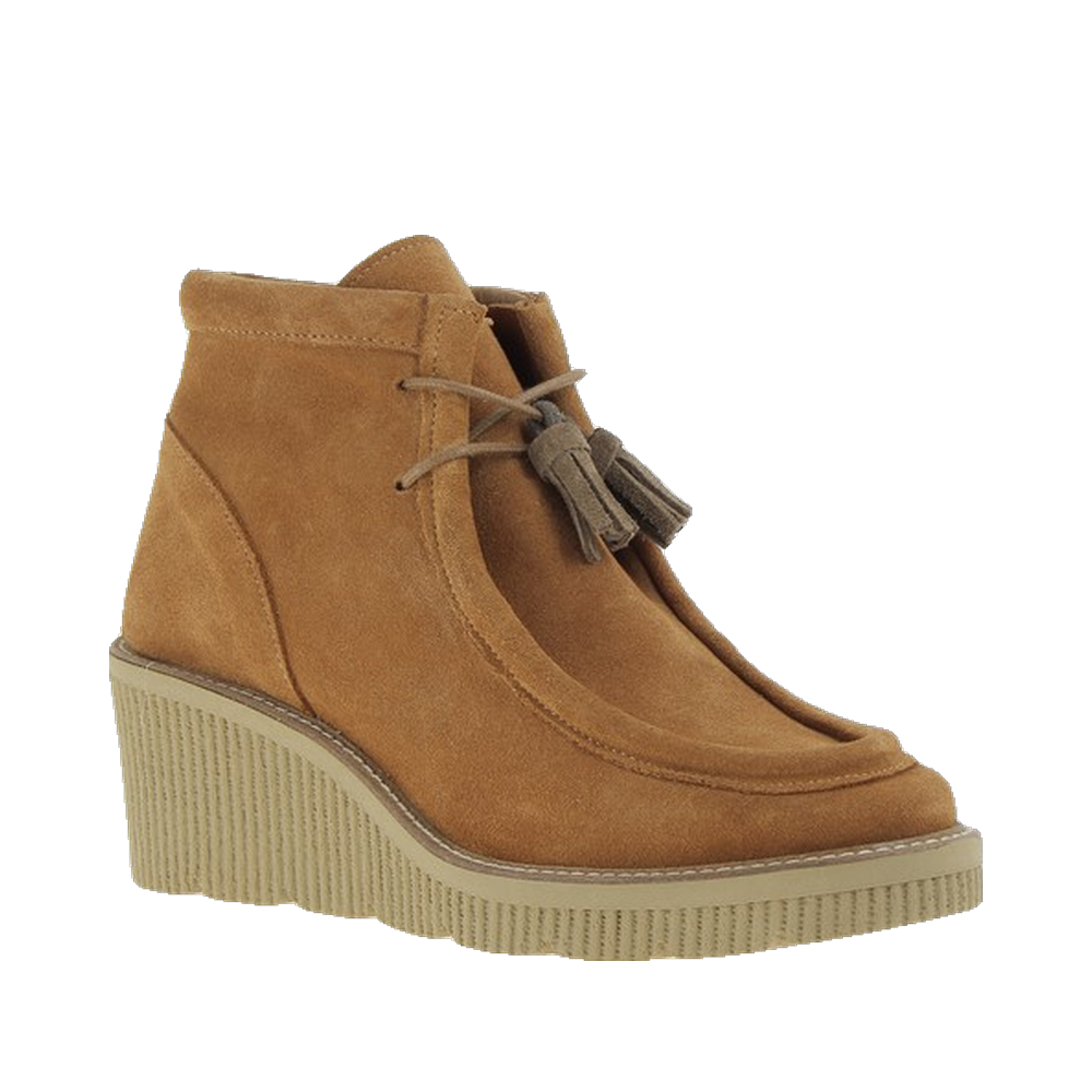 Ambernac Camel – Image 2