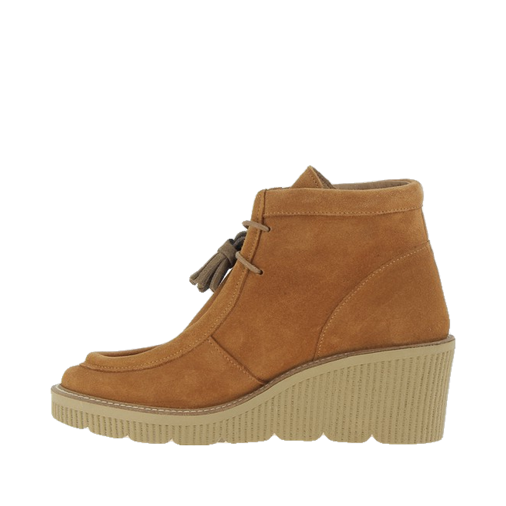 Ambernac Camel – Image 4