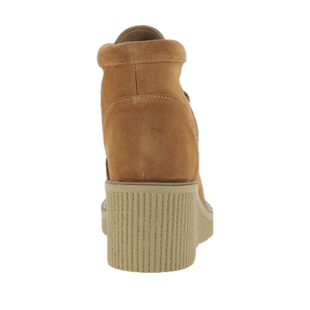 Ambernac Camel – Image 5